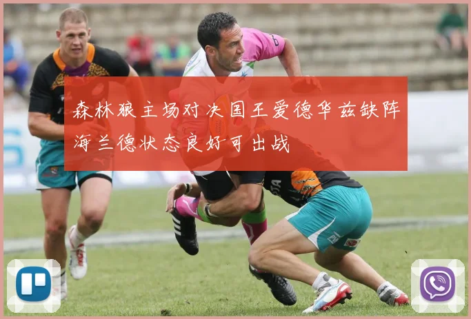 森林狼主场对决国王爱德华兹缺阵海兰德状态良好可出战